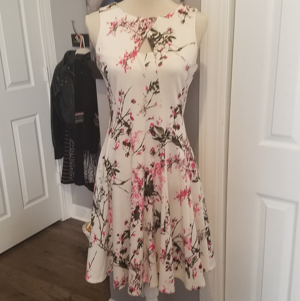 Dressed dress